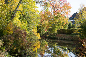 Autum in a park