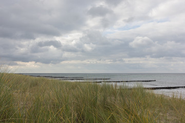 Fototapeta na wymiar Strandlandschaft mit Dünen an der Ostsee