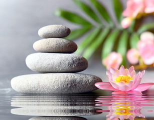 stones balance with flower lily on grey background