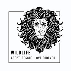 Beautiful card vector