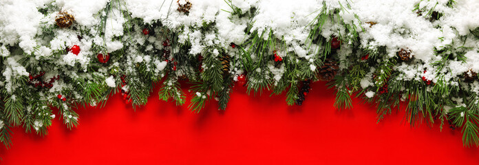 Christmas branches covered in snow