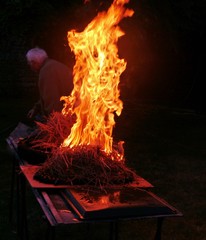 Eclades des moules in Flammen © Clarini