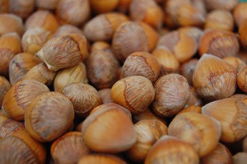 seeds background with hazelnuts in shells