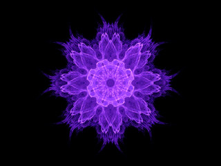 Digital abstract fractal purple flower on black background