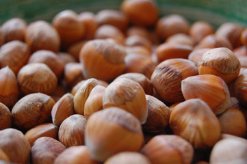 seeds background with hazelnuts in shells