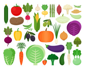 Colorful collection of cute vegetables: garlic, horseradish, peas, beans, eggplant