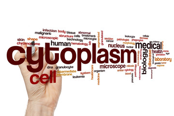 Cytoplasm word cloud