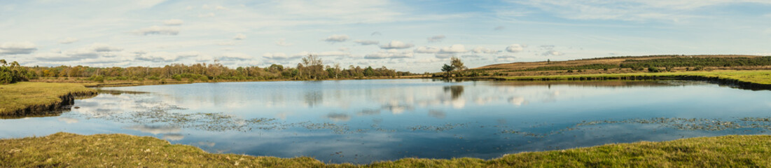 Pond , New Forest