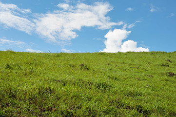 Green meadow and blue sky in the highlands of Matagalpa on the way to a small village of Pita, Nicaragua. Central America