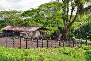 Horse and cow barn near Matagalpa on the way to Pita village, in the northern highlands of Nicaragua. Central America