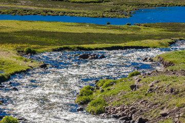 Utah Stream in Spring