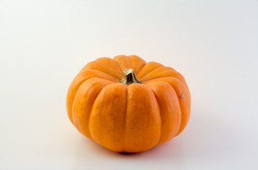 Pumpkin with white background. 