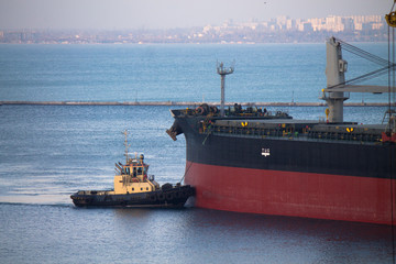 ship berthing at port with tug assistance on mooring rope with city on background