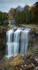 Webster Falls