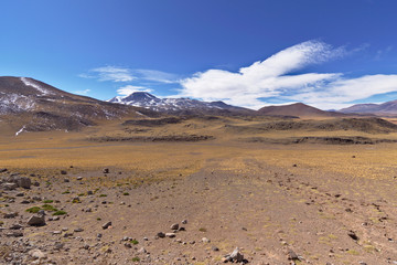 Fototapeta na wymiar Atacama colors