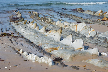Dientes de tiburon Shark beach tarifa spain