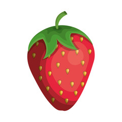 strawberry fresh fruit isolated icon vector illustration design
