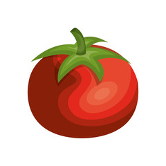 tomato fresh vegetable isolated icon vector illustration design