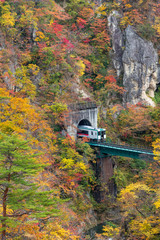 Naruko gorge and train in autumn season, Miyagi, Japan