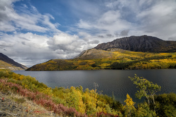 Obraz premium Indian summer landscape in the Yukon in Canada with thousands of colors along a lake at the Klondike Highway