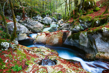 Mountain creek autumn in the Lepena valley - obrazy, fototapety, plakaty
