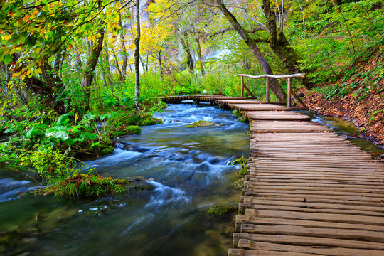 Boardwalk in the park Plitvice lakes