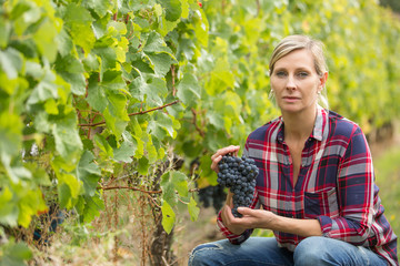 Naklejka na ściany i meble female farmer in vineyard