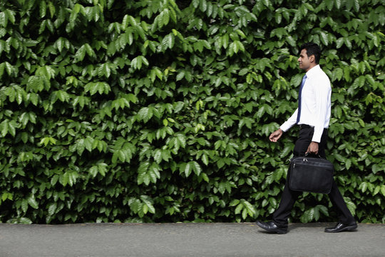 Indian Man Walking In Front Of Green Leafy Hedge.