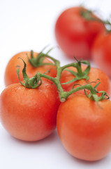 枝付きのミニトマト