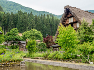 Fototapeta na wymiar traditional thatched roof house, Shirakawa-go, Japan