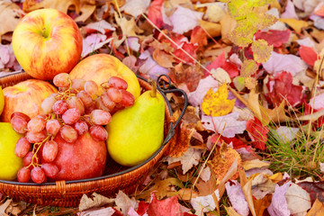 Naklejka na ściany i meble Vintage still life with apples, grapes and pears