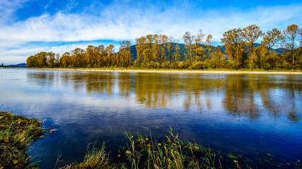 Fall Colors around Nicomen Slough, a branch of the Fraser River, as it flows through the Fraser Valley of British Columbia