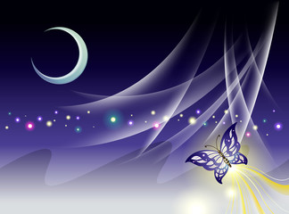 Background Collection Vol.01_Butterfly under the moonlight