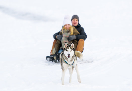 Happy couple sledding with toboggan and dog in winter