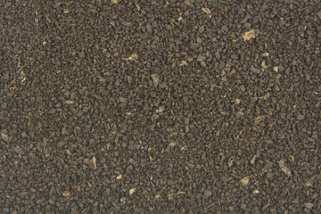 Raw crushed cocoa coffee beans