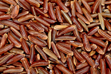 group of rice