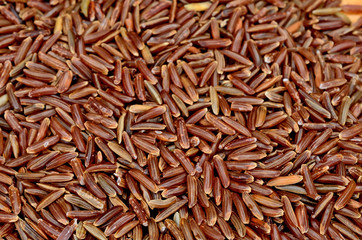 group of rice