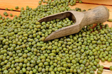 mung beans on table