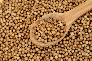 coriandru seed in spoon