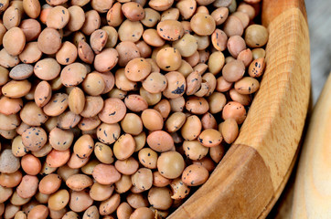 lentil on table