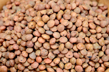 lentil on table