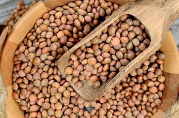 lentil on table