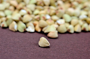buckwheat on table