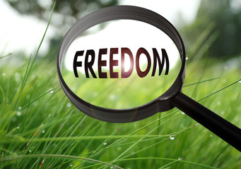 freedom