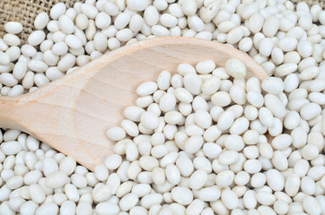 white beans and wooden spoon