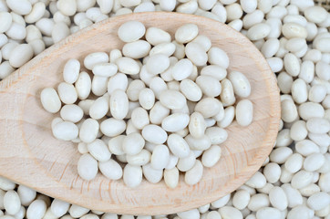 white beans in spoon