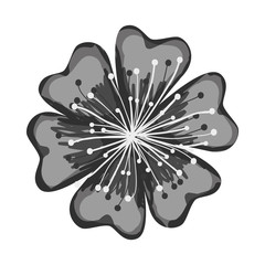 single cherry blossom flower icon image vector illustration design 