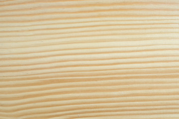 Texture of wood background closeup