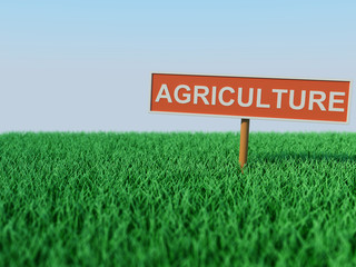 Agriculture Concept - 3D Rendered Image

