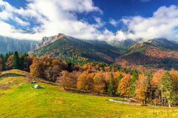 Fototapeta na wymiar Ceahlau autumnal landscape with mountain peaks and misty morning